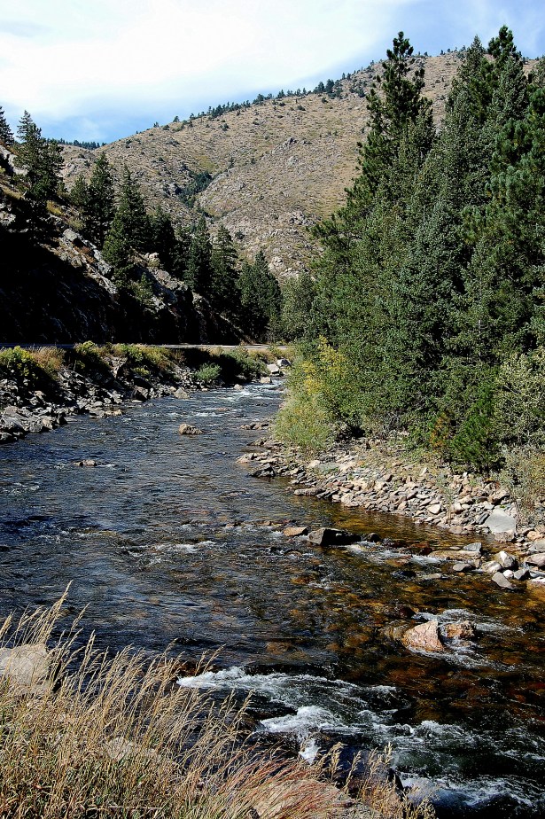 fort-collins-2010-006